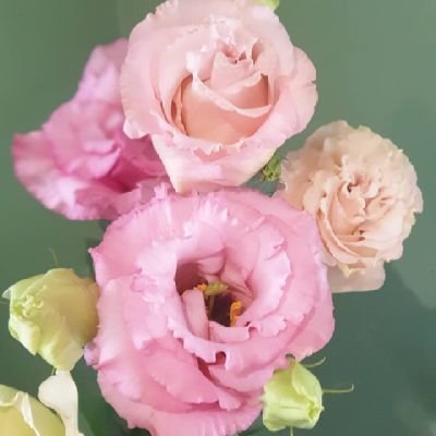 Branchflorist's profile picture. Family run florist based in St Helens, Beautiful flowers for all occasions 💐
Mon - Thur 9 -3 Fri - 9 - 1
Order Online 24/7 or by phone 01744 819707