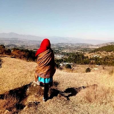 MashamShamsi's profile picture. Hard work always pays off...