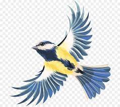 Contre l'obscurantisme scientophile athéiste et déteste les canards oranges
Pour le reboisement 🌳🌳🌳
@calisto0606.bsky.social