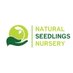 Natural Seedlings🌱 Nursery Ltd (@seedlingsltd) Twitter profile photo