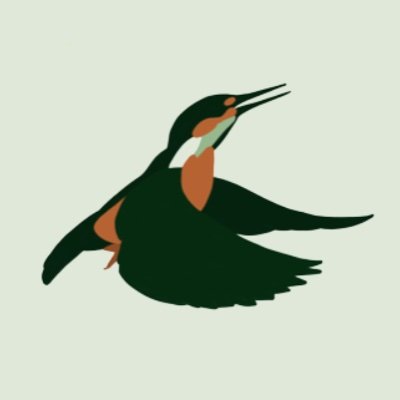 An interdisciplinary approach to reporting on environmental issues. Contact us: connect.thekingfisher@gmail.com