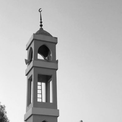 Hikingae's profile picture. 