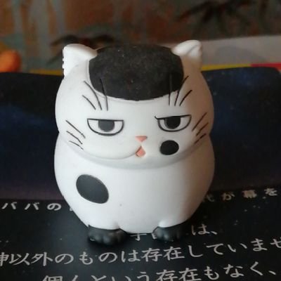 谷口智一 (BLcXuZlTPuTYsvh) / Twitter