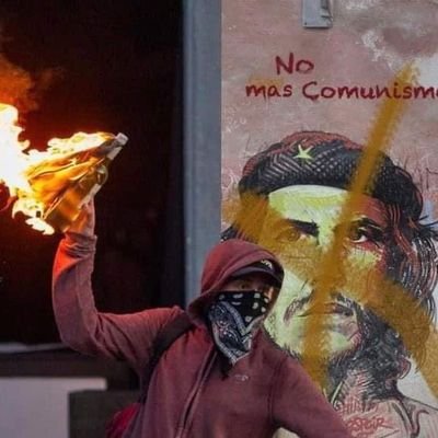 lalitojavis's profile picture. 