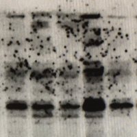 Dr. Me (@somethingphd) Twitter profile photo