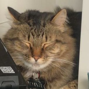 Jaky29399953's profile picture. 