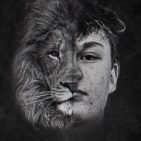 Will Fowler (@wi11fowler) 's Twitter Profile