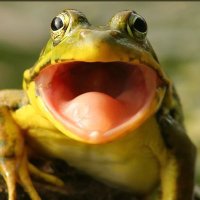 Jo (@_jo_griffin_) 's Twitter Profile