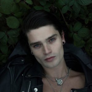 22 || half-seelie || Shadowhunter || bi || cogito ergo sum. // admin is 19 // #PennedByXander