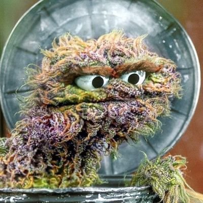 StephenGroff6's profile picture. I love gold, silver, crypto, sports cards and video games.

My adjectives Handsome/Brilliant/Fantastic

I identify as the King of rock there is none higher.