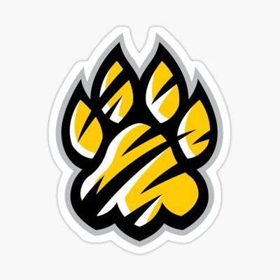 Tigers_RES Profile Picture