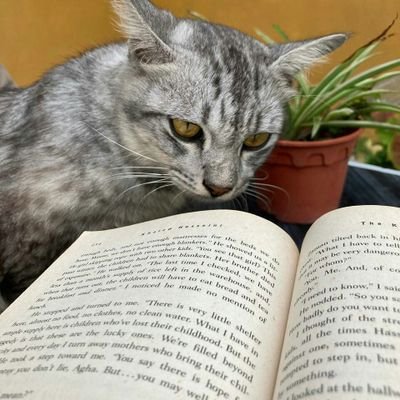 _Aimika's profile picture. nothing much