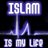 Mohd.Shoaib's Twitter (X) avatar