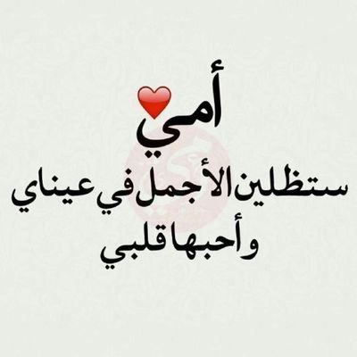 bha44xtL1G6SCEd's profile picture. 