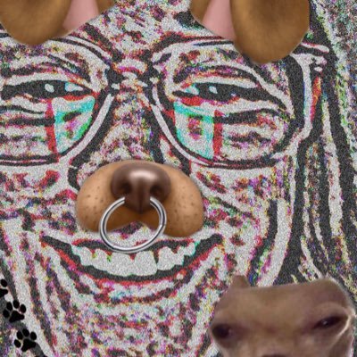 morganmetzzz's profile picture. i love attention. she/her