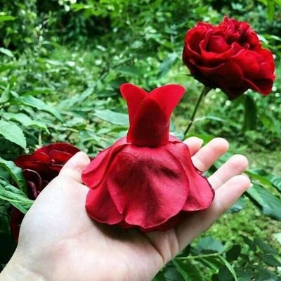 Yuliana33600172's profile picture. Ser Inteligente