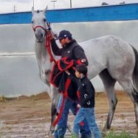 Justin Evans Racing Stable (@evansstable) 's Twitter Profile