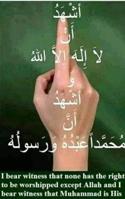 l am a firm Muahid & strong believe in aayat(Iyyaaka na'budu wa lyyaaka nasta'een) Best of iman according to me who always repents in front of AllahSubhanwatala