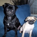 Kerri Black - @BlackKerri - Twitter