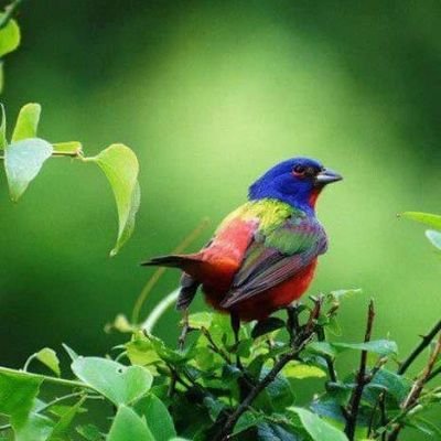 AidooAspect's profile picture. Leo