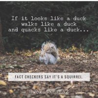 Joy ✝️🙏🤔🧐🤨🤯🕊 (@unsubtletea) 's Twitter Profile Photo