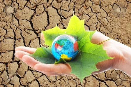 Helping you make a positive impact on the environment by researching, comparing and reviewing green web hosting companies! Host Green!