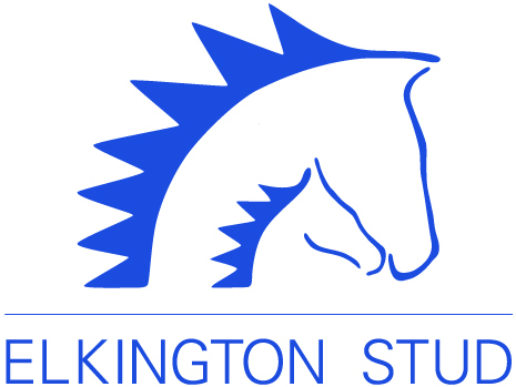 Elkington is based in Oxfordshire and breeds thoroughbred horses for the racing world - Skyman and Flight Plan are two of its graduates