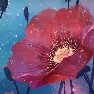 zigisherefi's profile picture. crypto crypto crypto