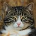 Jaco 🇿🇦 (@jaco62572613) Twitter profile photo Jaco 🇿🇦 (@jaco62572613) Twitter profile photo