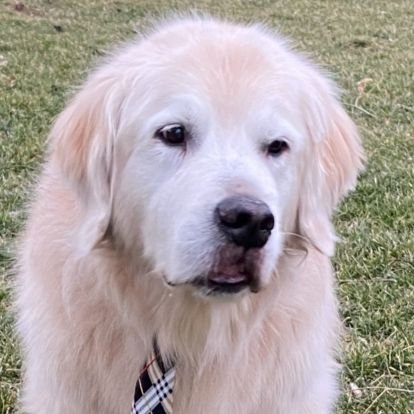 RandalH18's profile picture. |Fhn 22|
|Sports|
|Studying fiance and business management|
|6'1|
|HMU|
|check the link out below and support the troops 🇺🇲🇺🇲|