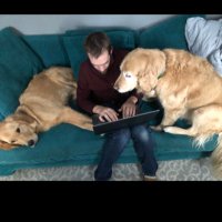 drmzndrmz (@dsailer15) 's Twitter Profile