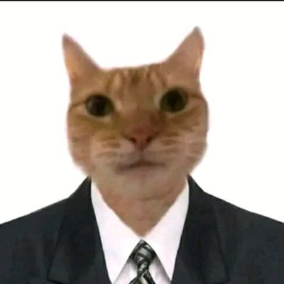 gatito emperrado (@foolnet17) / X