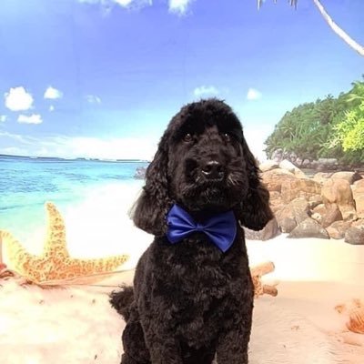 JIMCREMIN1's profile picture. Me , I am just a plumber , but I have been blessed with a wonderful wife and family that includes our five grandchildren who are the love of our lives.