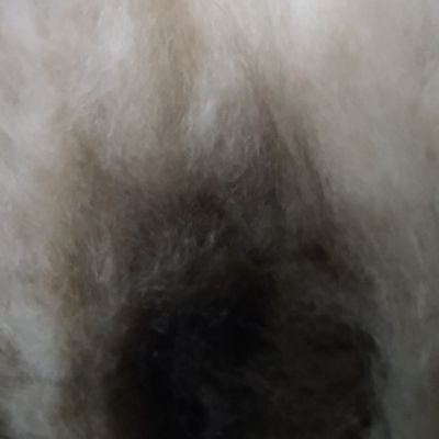 banaru1's profile picture. 猫のきんたま
Escape from Tarkov
