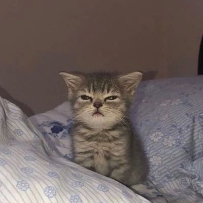 satutambahduaa's profile picture. 