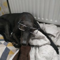 Paddy Dunne (@paddyjdunne) 's Twitter Profile
