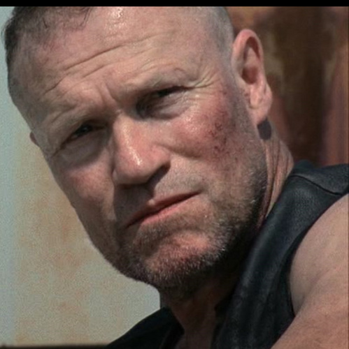 Support Michael Rooker in his bid to be nominated for a Primetime Emmy for Best Supporting Actor in a Drama for his role as Merle Dixon in The Walking Dead.