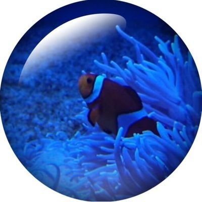Ryone_8191's profile image