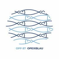 OPP_87_OPEIXBLAU(@87_opp) 's Twitter Profile Photo
