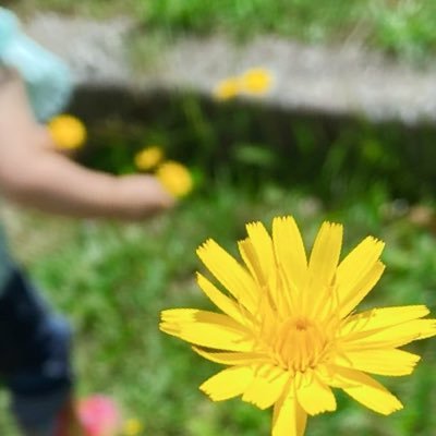 ライブで生の声と音を感じたい サルート好き 4歳娘の母