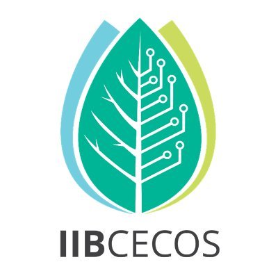 iibcecos Profile Picture