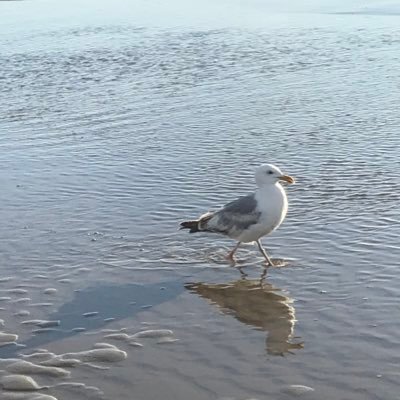 DanklofManuela's profile picture. 