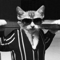 Zbignevas Puzinas (@zbignevasp) 's Twitter Profile