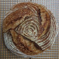 Daniel Zoran (@danielzoran_) 's Twitter Profile