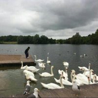 - (@m3llii_) 's Twitter Profile