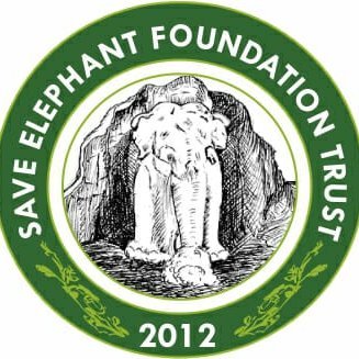 elephant_trust's profile picture. To raise consciousness regarding protection and conservation of wildlife with special emphasis on elephants, a keystone species for a vibrant forest ecosystem.