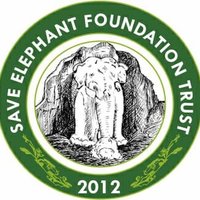SAVE ELEPHANT FOUNDATION TRUST (@elephant_trust) 's Twitter Profile