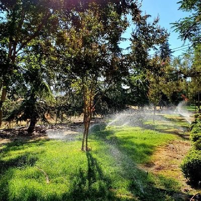 awwadalmelhem's profile picture. 