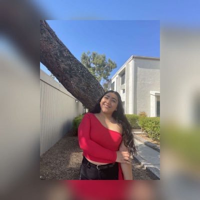 🍂🌻