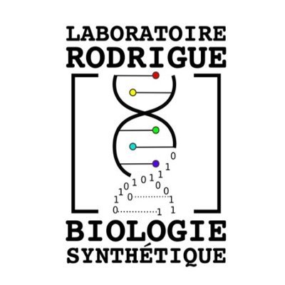 Rodrigue Lab @USherbrooke Systems and synthetic biology